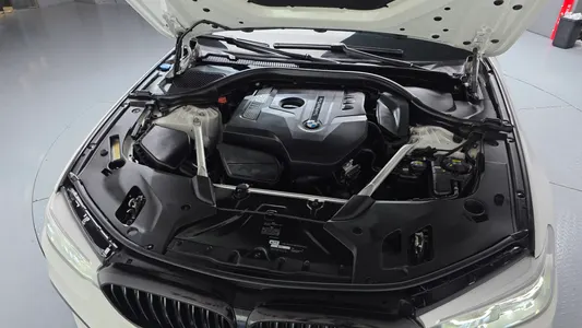 BMW 5 Series (G30) 530i M 2018 5