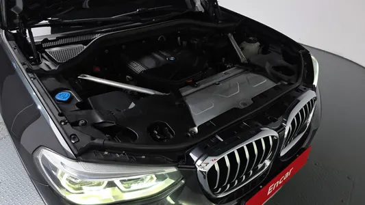 BMW X4 (G02) xDrive20d xLine 2020 5