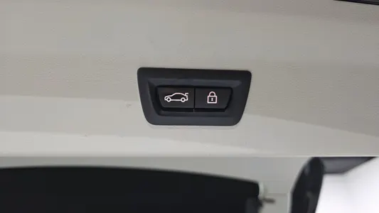 BMW X4 (G02) xDrive20d xLine 2020 19