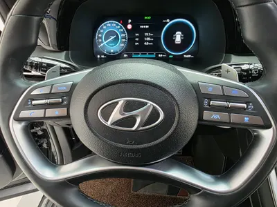 Hyundai 팰리세이드 3.8 4WD 2023 16