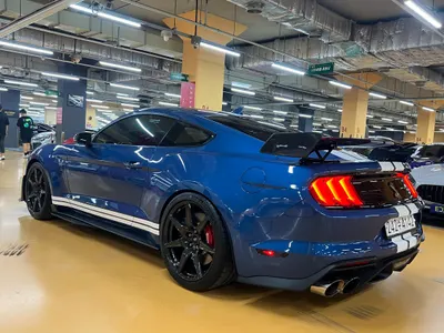 Ford 머스탱 GT500 2020 5