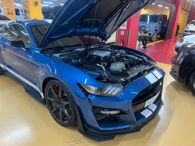 Ford 머스탱 GT500 2020 6