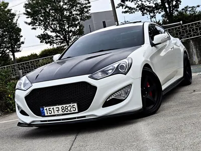 Hyundai Coupe 380 GT-RW 2010 12