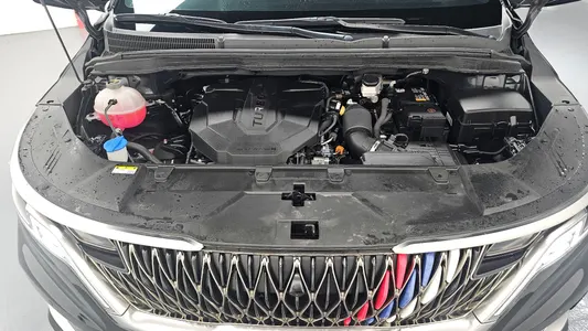 Kia Carnival 9 2023 6