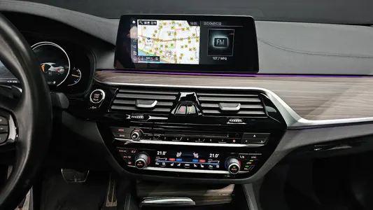 BMW 5 Series (G30) 520d xDrive M 2017 14