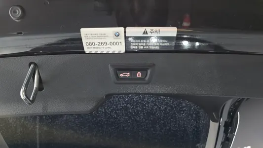 BMW X6 (F16) xDrive 30d 2018 20