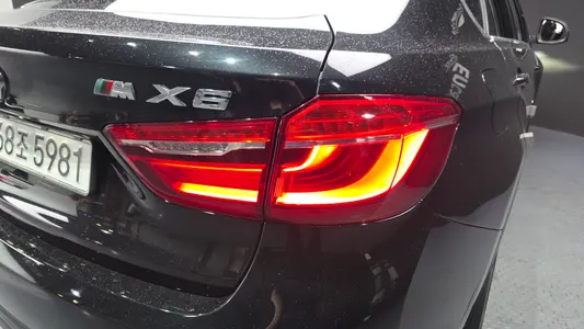 BMW X6 (F16) xDrive 30d 2018 23
