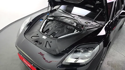Porsche (976) 2.9 AWD 2024 6