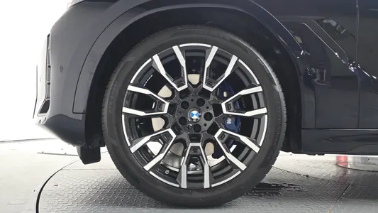 BMW X6 (G06) xDrive30d M 2025 5