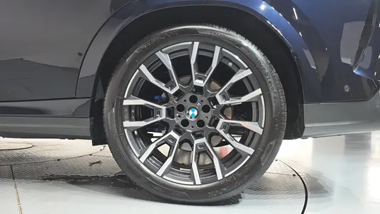 BMW X6 (G06) xDrive30d M 2025 22