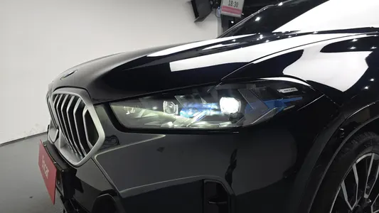 BMW X6 (G06) xDrive30d M 2025 23