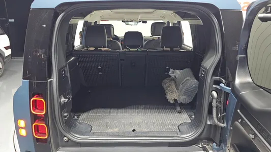 Land Rover (L663) 110 D300 HSE 2021 18