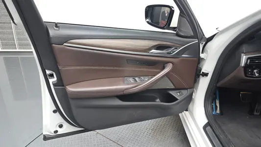 BMW 5 Series (G30) 520i M 2020 25