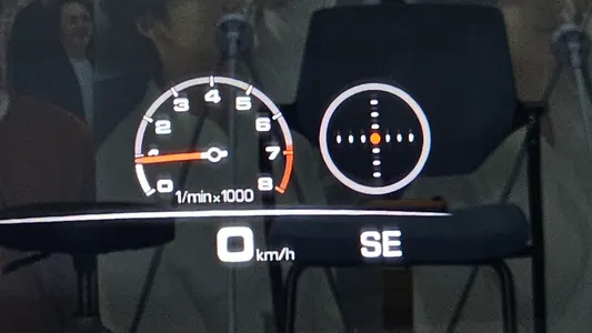 Porsche (971) 2.9 AWD 2023 17