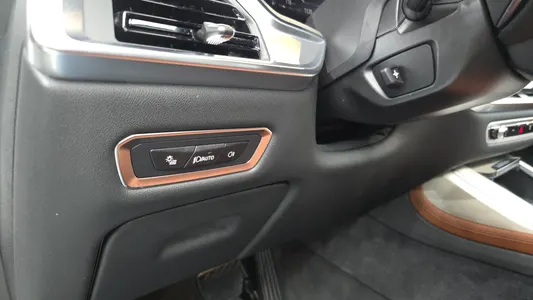 BMW X7 (G07) xDrive 40i 6 2025 28