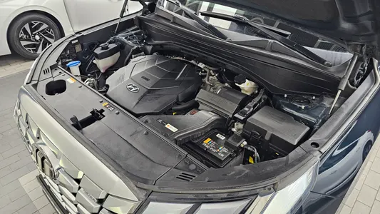 Hyundai 팰리세이드 3.8 4WD 2023 6