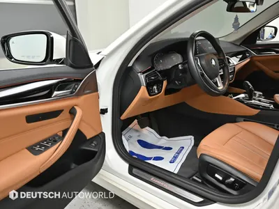 BMW 5 Series (G30) 520i 2020 15