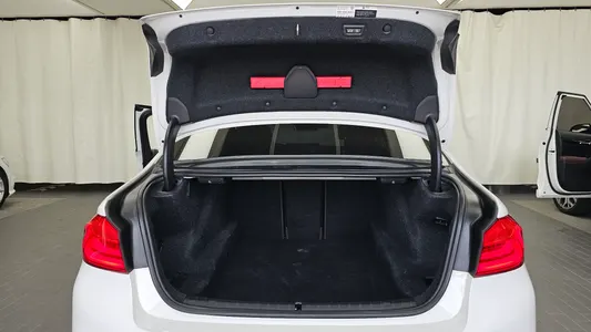BMW 5 Series (G30) 520d M 2019 20