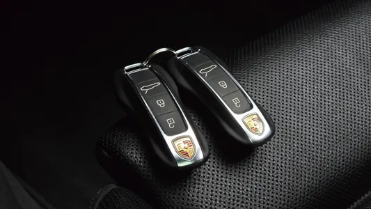 Porsche (971) 2.9 AWD E- 2021 19