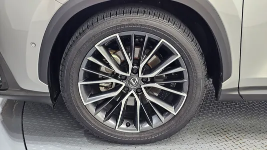 Lexus NX350h 2 2025 5