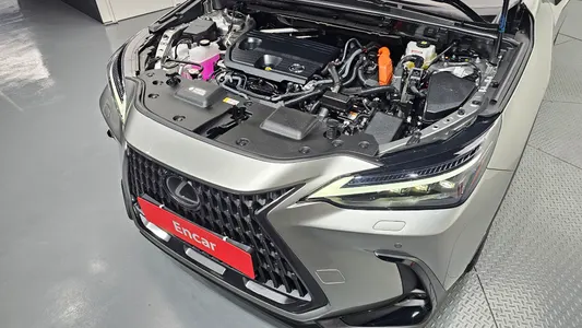 Lexus NX350h 2 2025 6