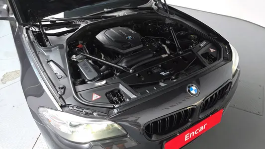 BMW 5 Series (F10) 520d 2015 5
