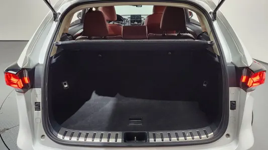 Lexus NX300h 2015 20