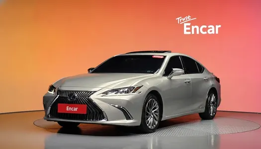 Lexus ES300h 7 2018 21