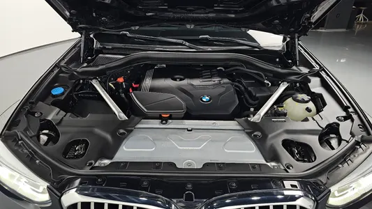 BMW X4 (G02) xDrive20i M X 2021 5