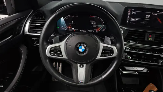 BMW X4 (G02) xDrive20i M X 2021 12