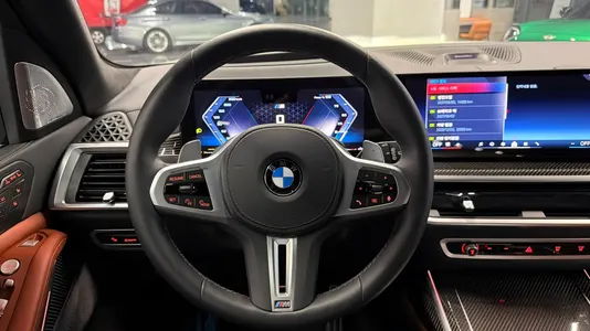 BMW X7 (G07) M60i xDrive M 6 2024 17