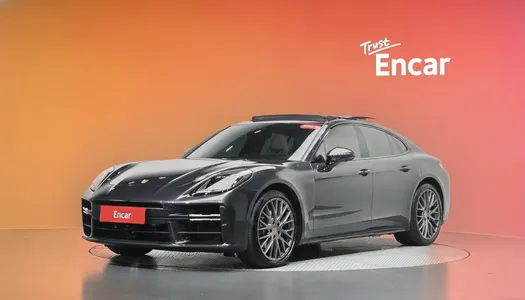 Porsche (976) 2.9 AWD 2024 20