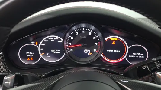 Porsche (971) 2.9 AWD 2021 8
