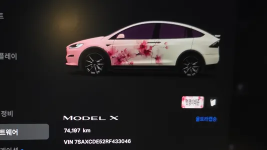 Tesla X AWD 2024 8