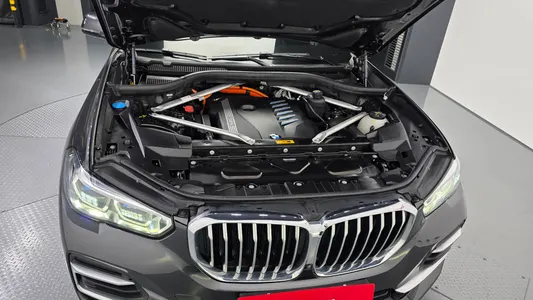 BMW X5 (G05) xDrive 45e xLine 2022 6