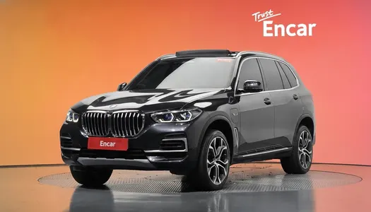 BMW X5 (G05) xDrive 45e xLine 2022 21