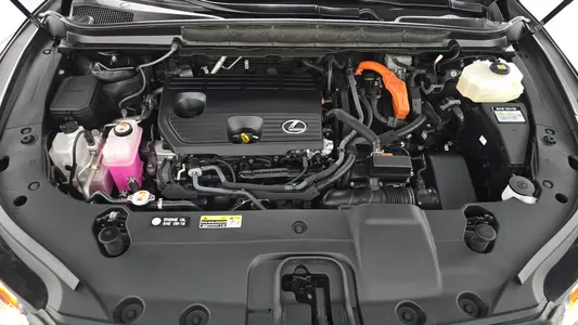 Lexus RX350h 5 2025 6