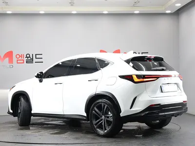 Lexus NX350h 2 2026 4