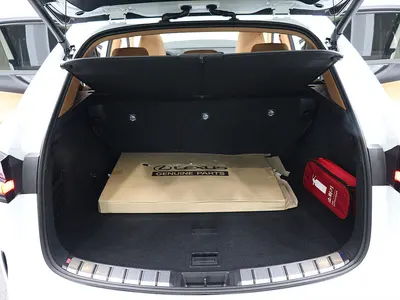 Lexus NX350h 2 2026 5