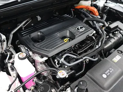 Lexus NX350h 2 2026 18