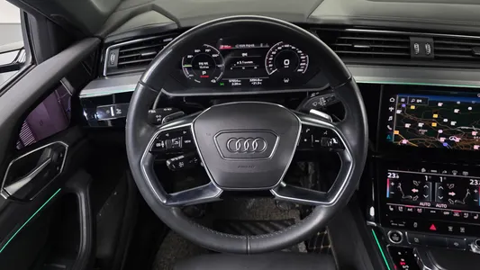 Audi e- 55 2021 14