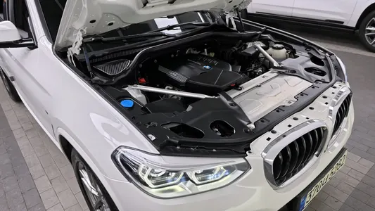 BMW X4 (G02) xDrive20d M 2021 6