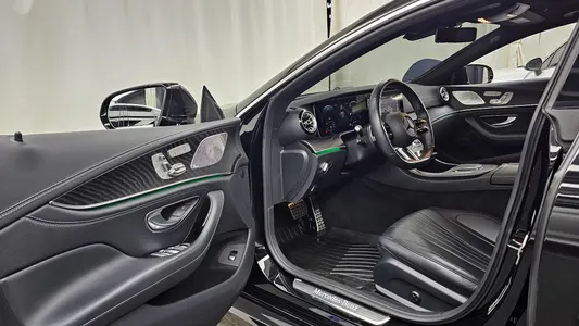 Mercedes-Benz CLS-Class C257 CLS300d 4MATIC 2022 10