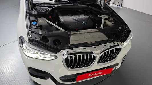 BMW X4 (G02) xDrive20i M X 2020 5