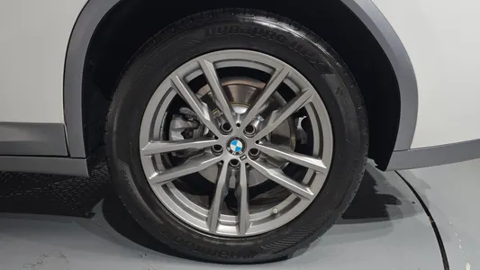 BMW X4 (G02) xDrive20i M X 2020 21