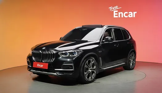 BMW X5 (G05) xDrive 45e xLine 2021 20