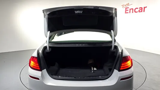 BMW 5 Series (F10) 528i M 2016 19