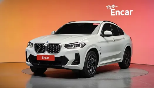 BMW X4 (G02) xDrive20i M 2023 21