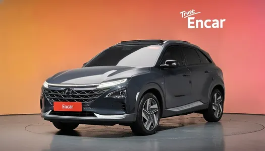 Hyundai 넥쏘 2020 21