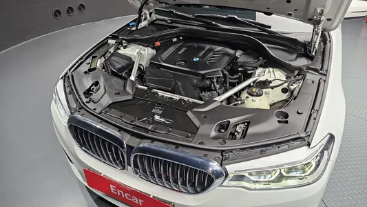 BMW 5 Series (G30) 520d 2018 6